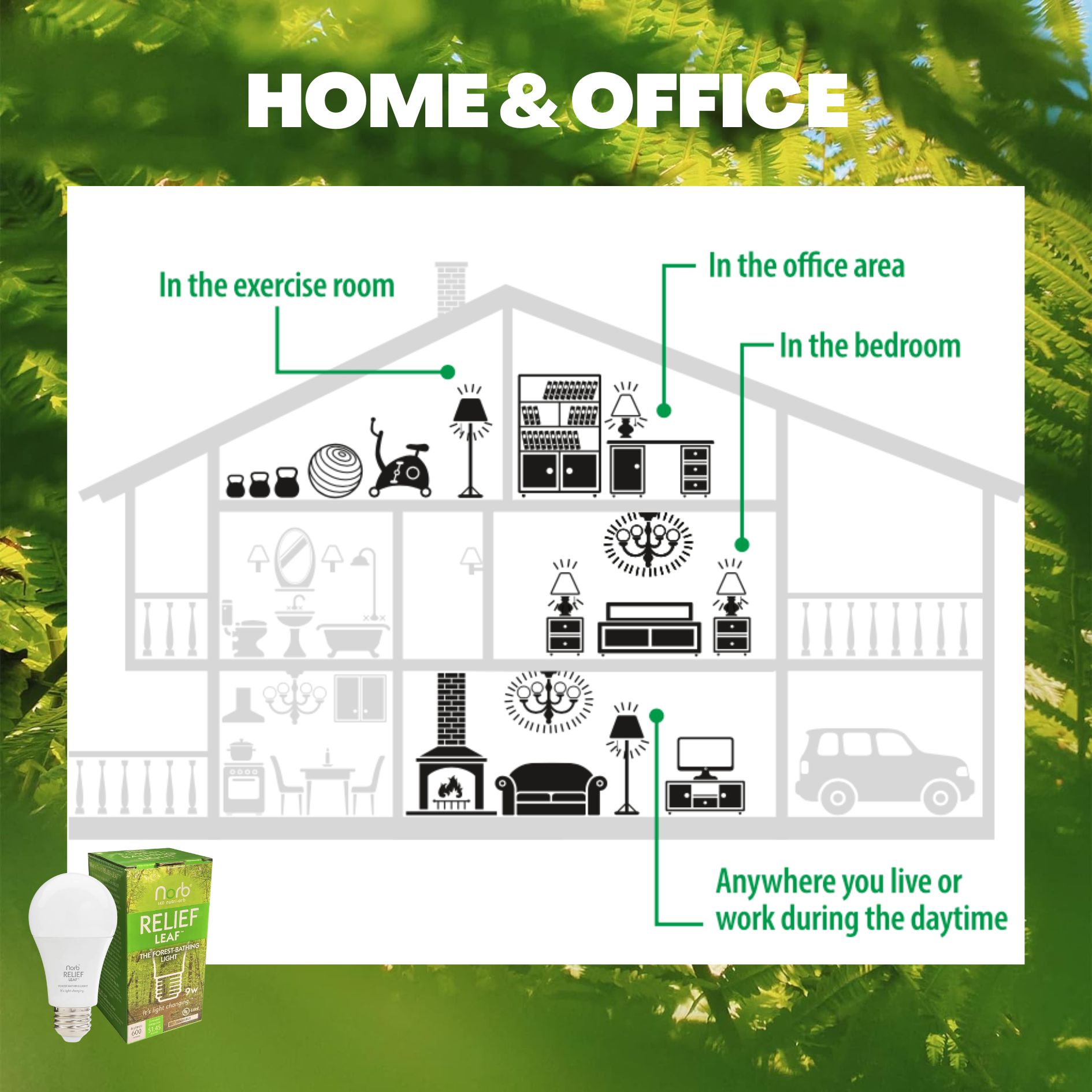 Relief Leaf - Soft Green Light Relaxation