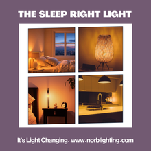 Load image into Gallery viewer, NorbEVERYDAY-SLEEP
