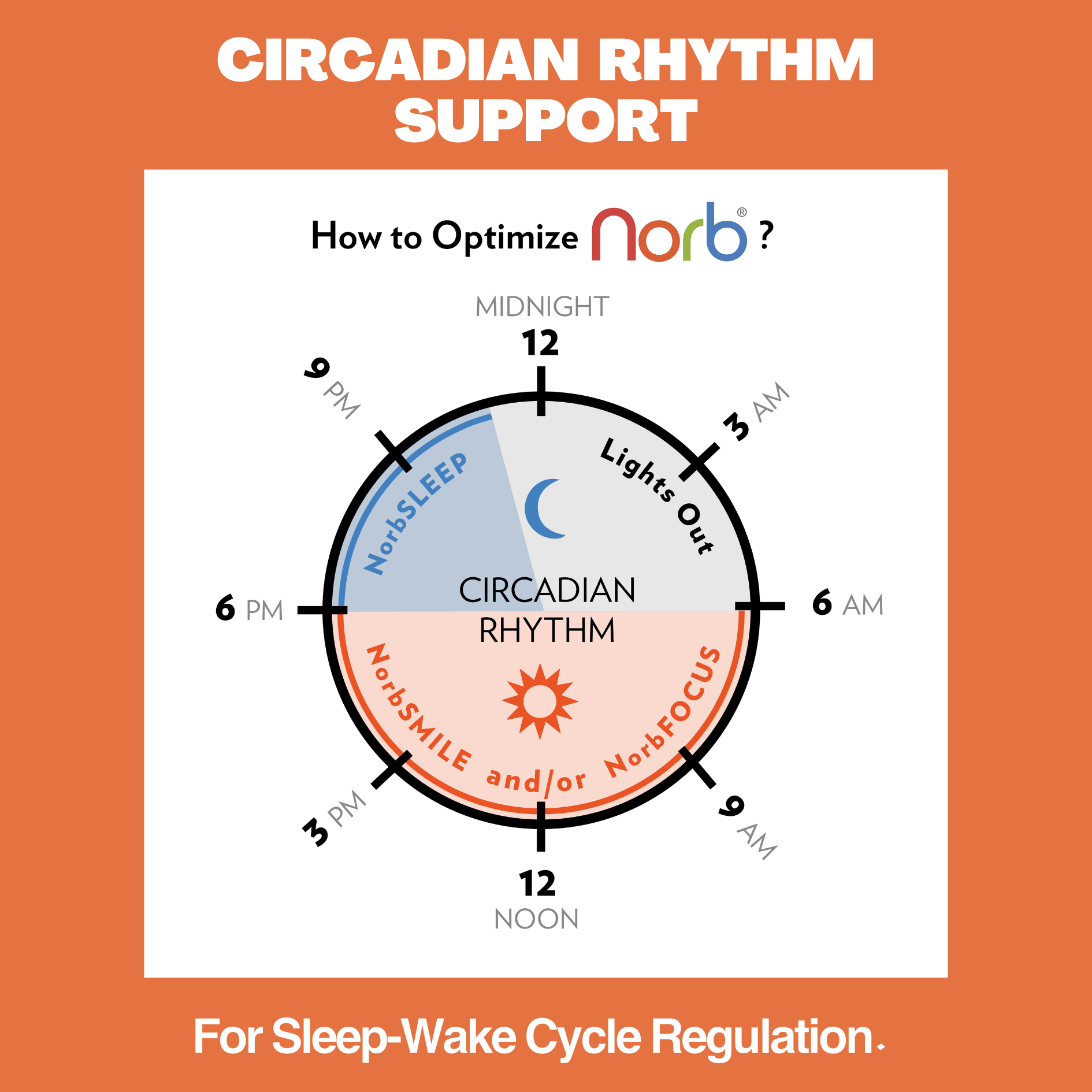 NorbSMILE PAR30 Sunlike Full Spectrum Bulb