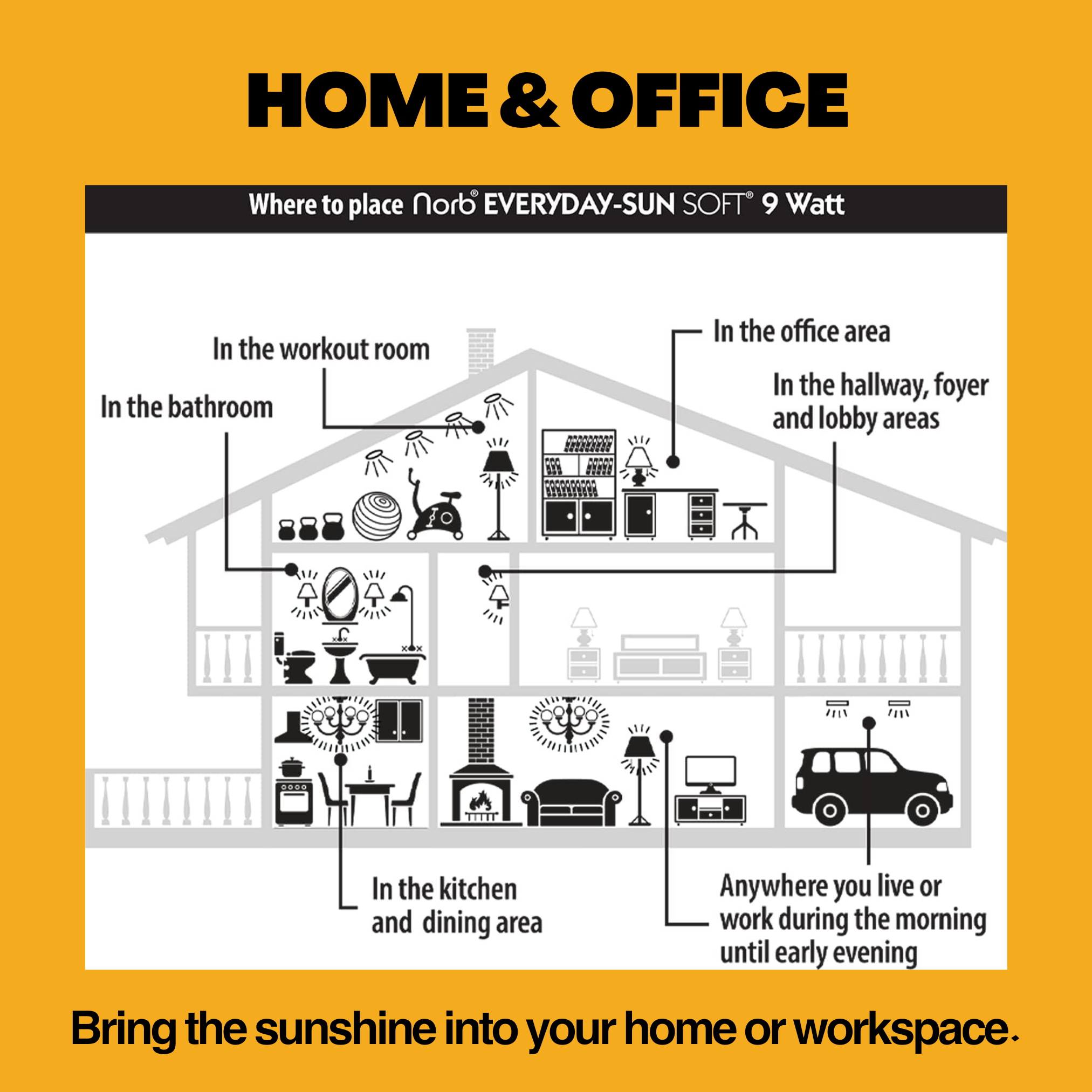 NorbEVERYDAY-SUN SOFT A19 (2-Pack)