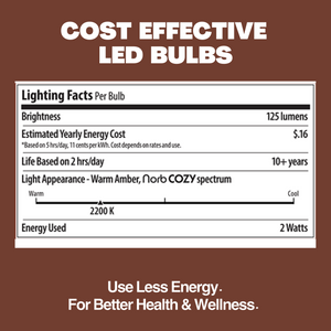 NorbSTRING 2W AC String Light Replacement Bulbs