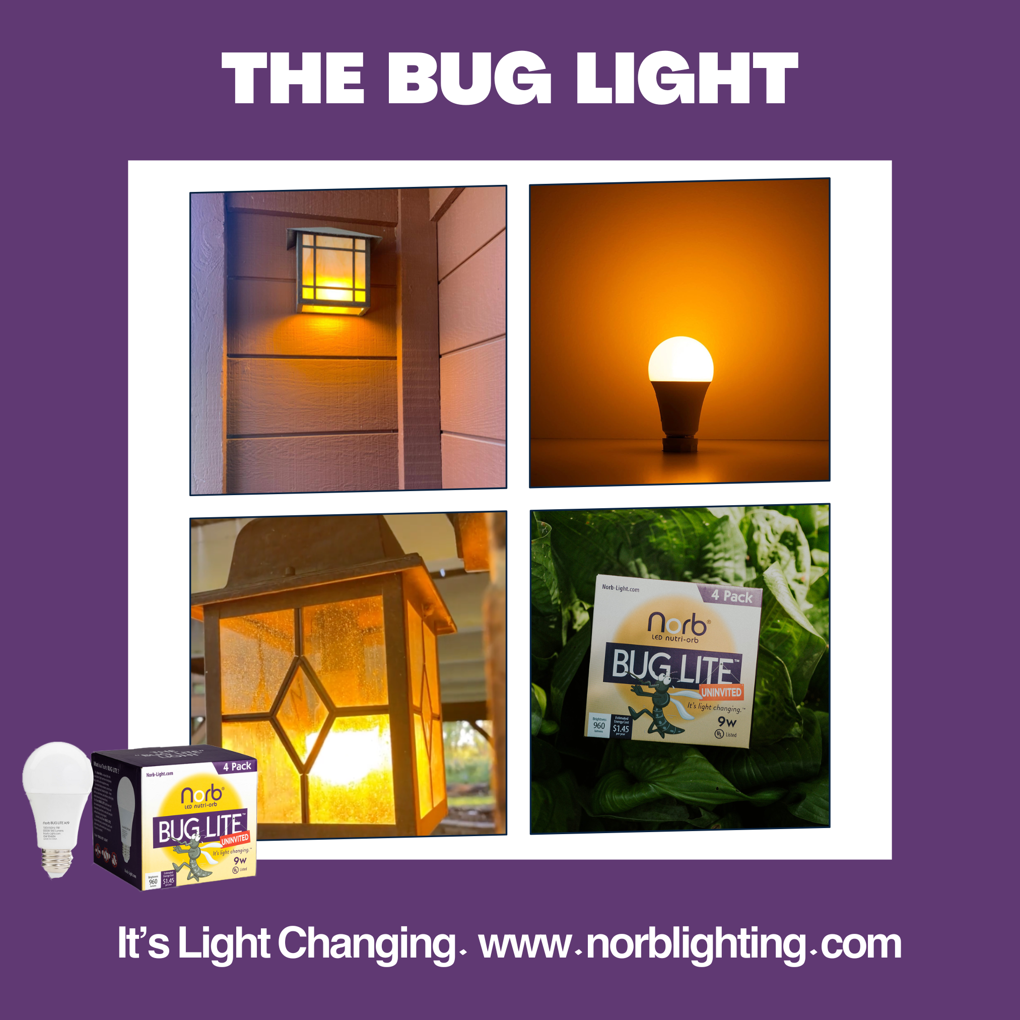 Bug Lite - Bug-Reducing Bulb