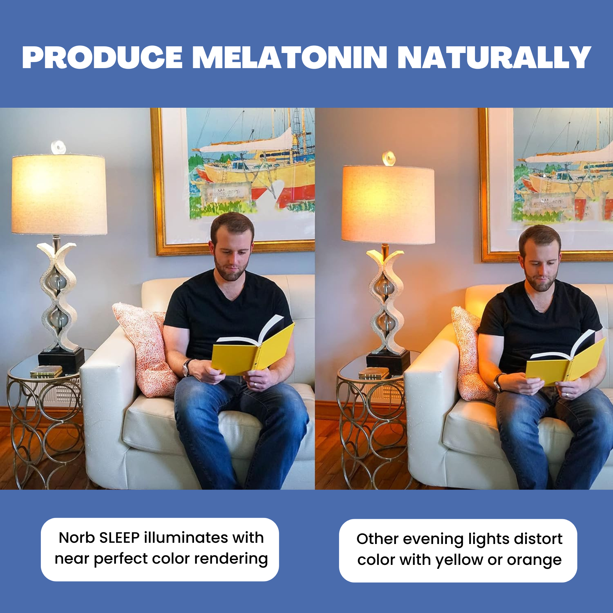NorbSLEEP A19 Low Blue Sleep Light Bulb (9W)