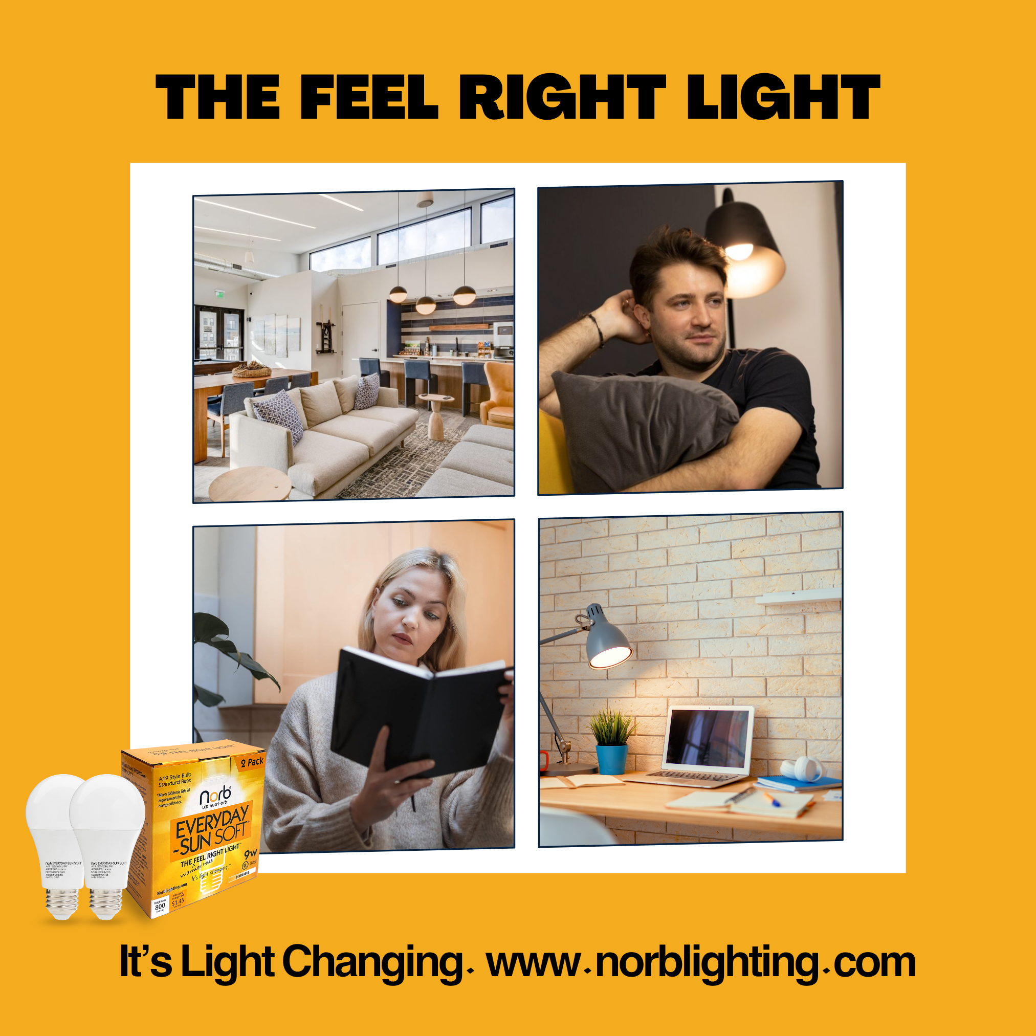 NorbEVERYDAY-SUN SOFT A19 (2-Pack)