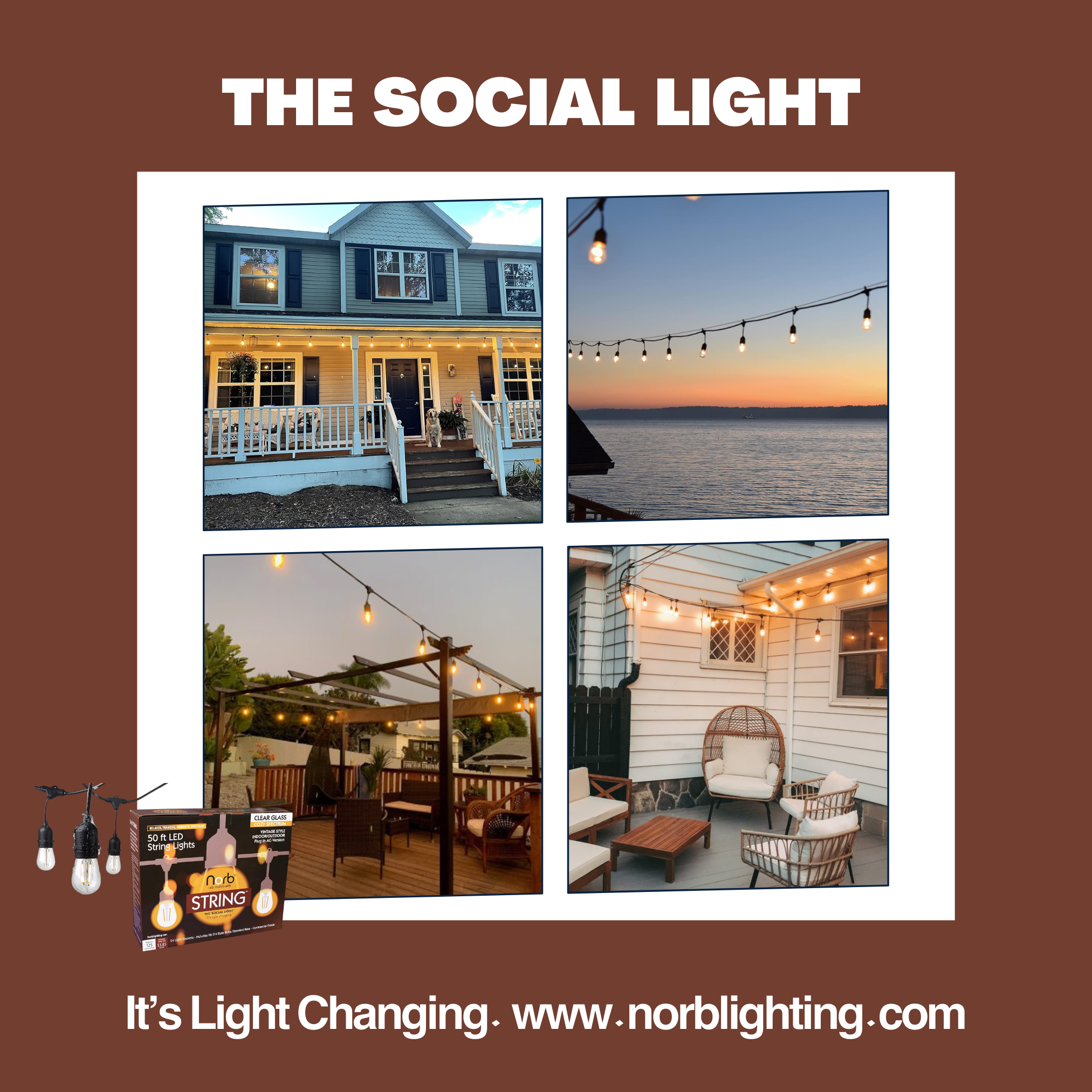 String Light - 50-Foot