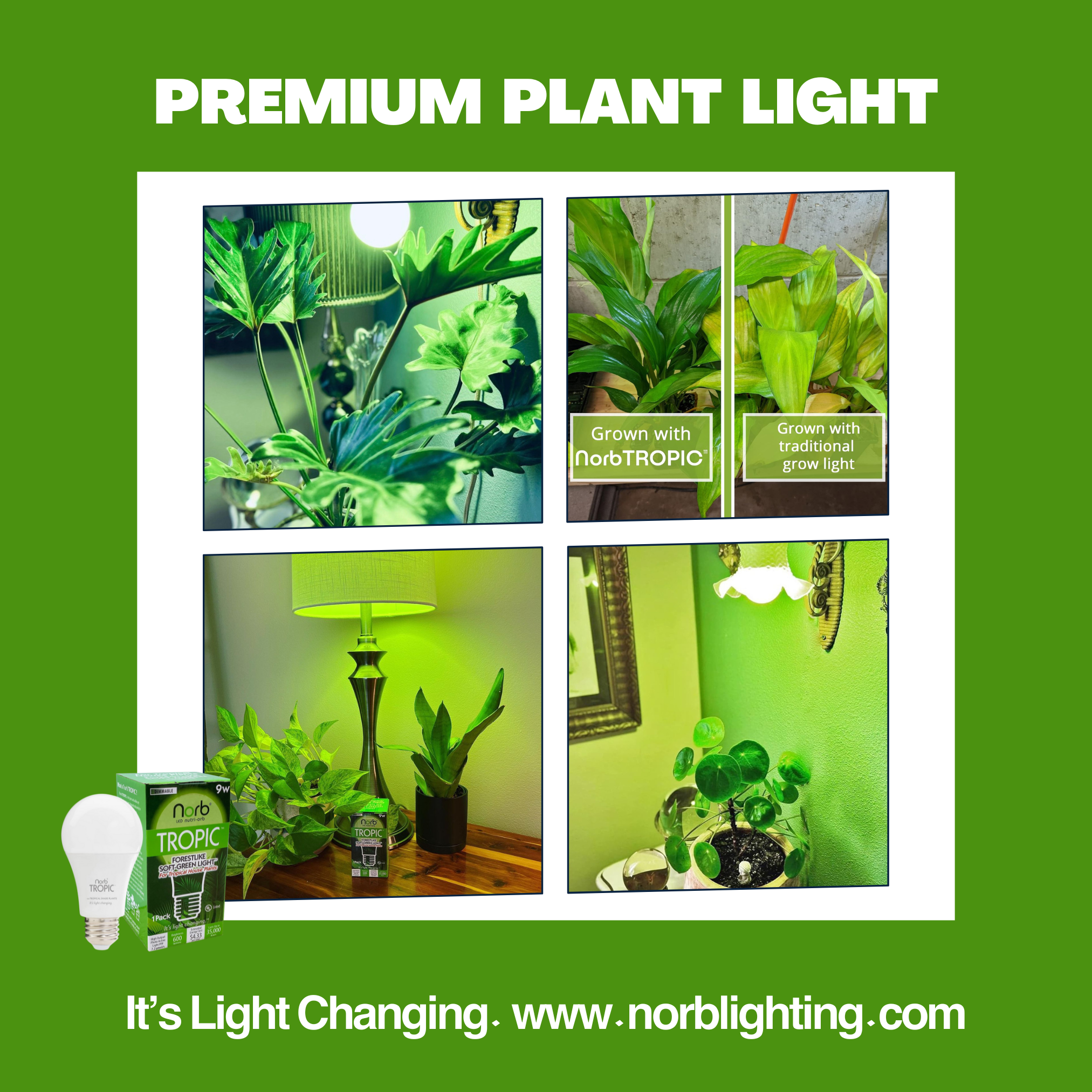 Tropical Soft Green Grow Light - Small Scale