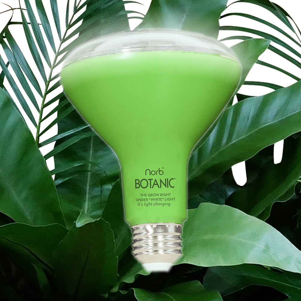 Botanic Grow Light - Medium Scale