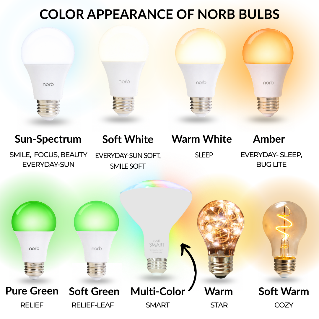 Smart App-Controlled Flood Light