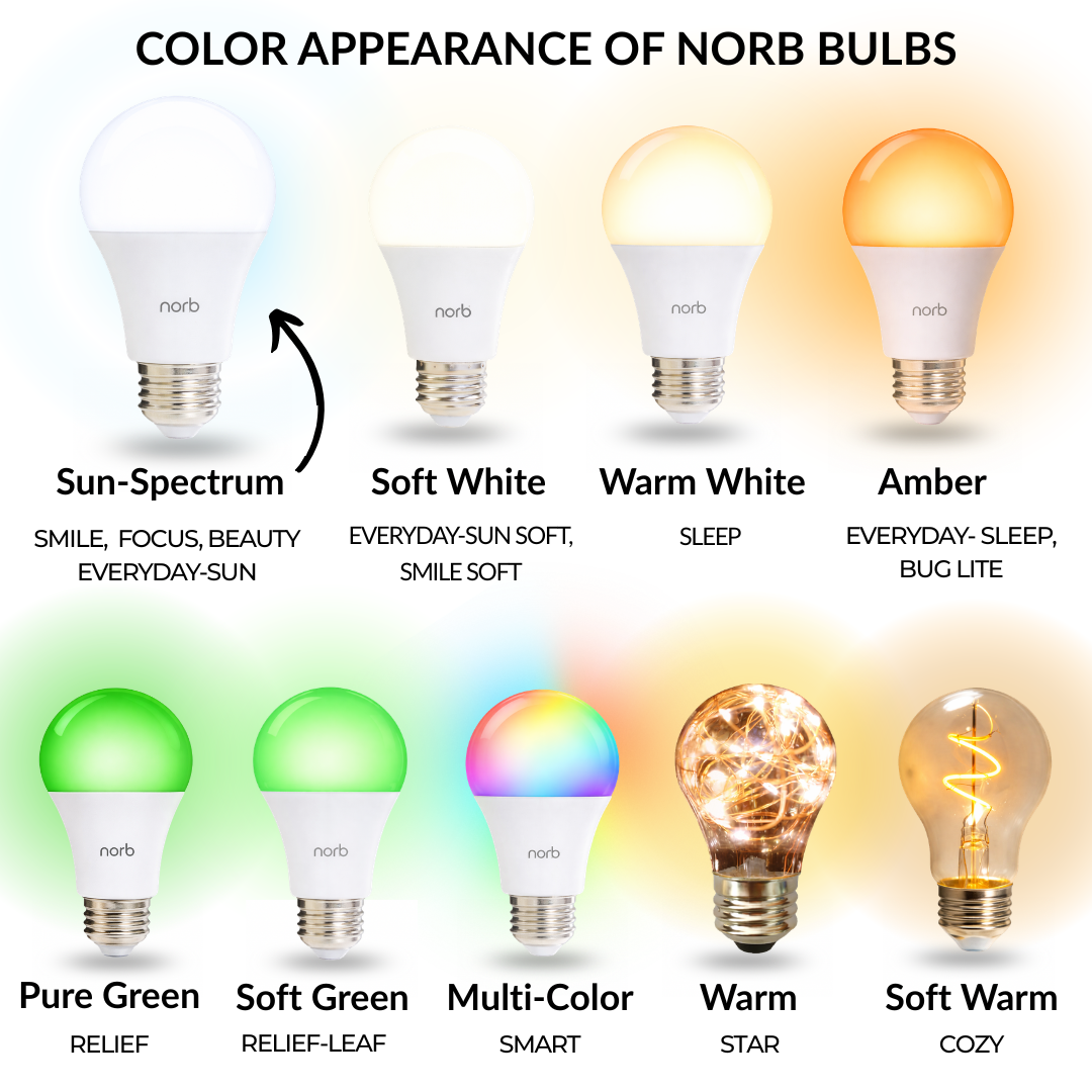 Everyday-Sun - Daylight Bulb
