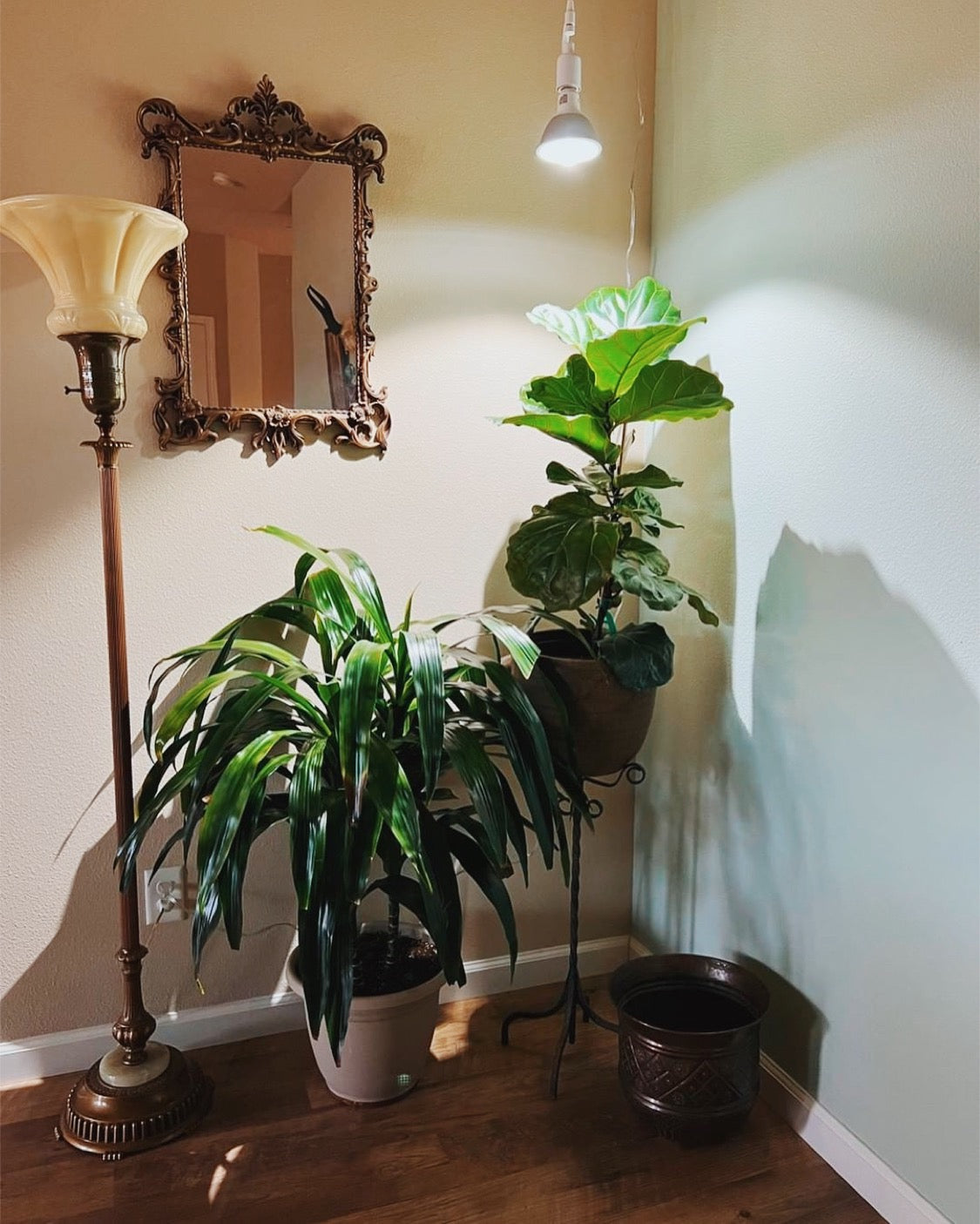 Botanic Grow Light - Architectural Grade