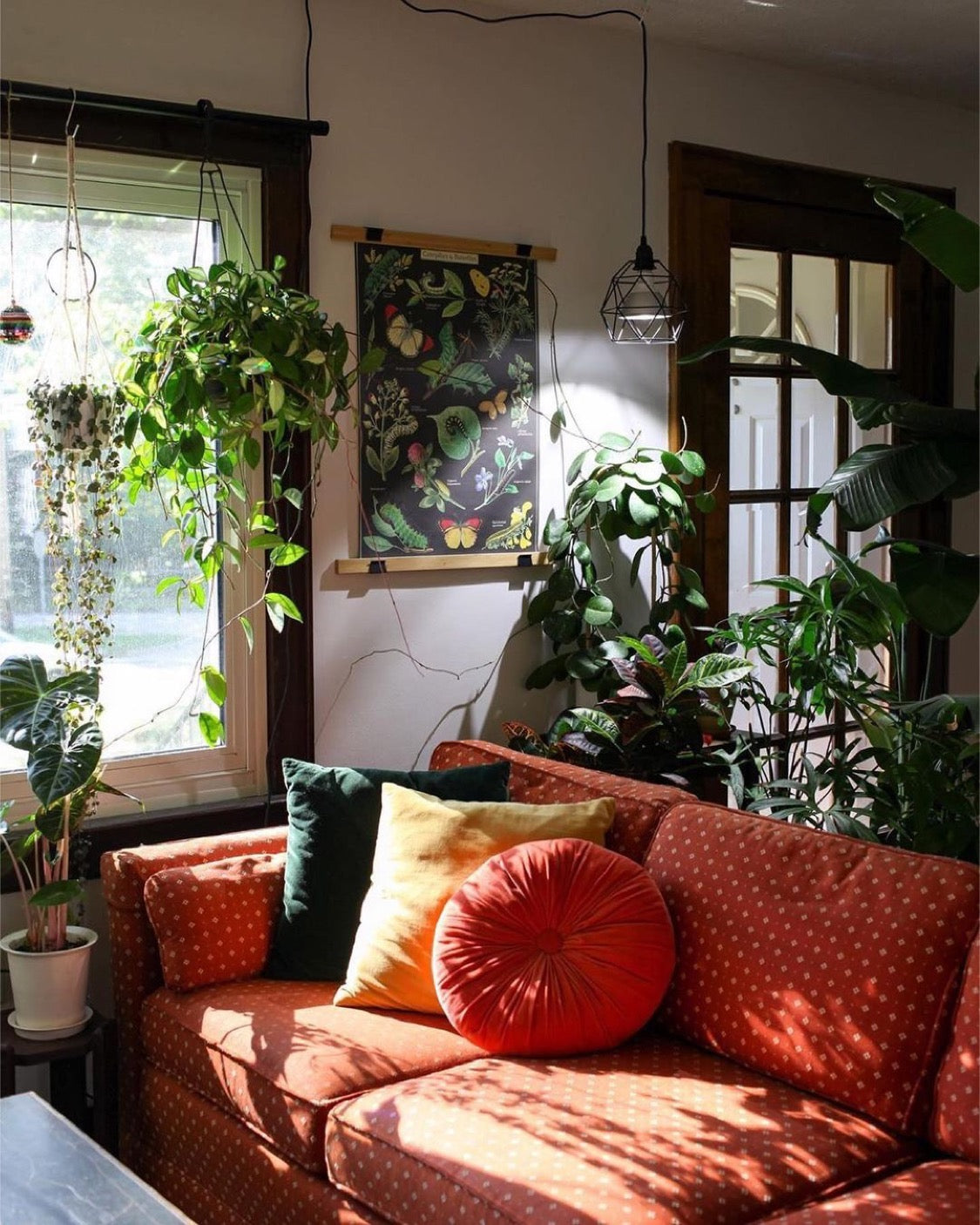 Botanic Grow Light - Architectural Grade