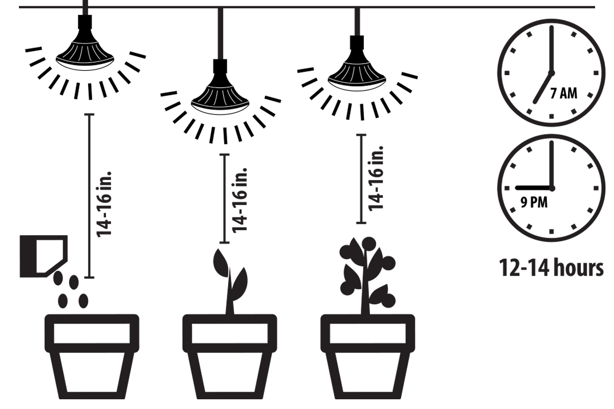 Botanic Grow Light - Large Scale