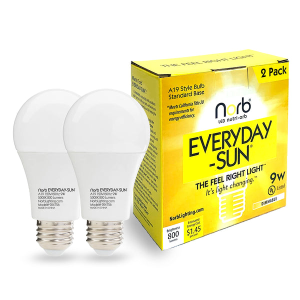 NorbEVERYDAY-SUN A19 (2-Pack)