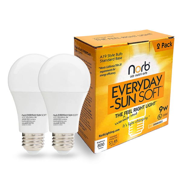Everyday-Sun Soft - Daylight Bulb
