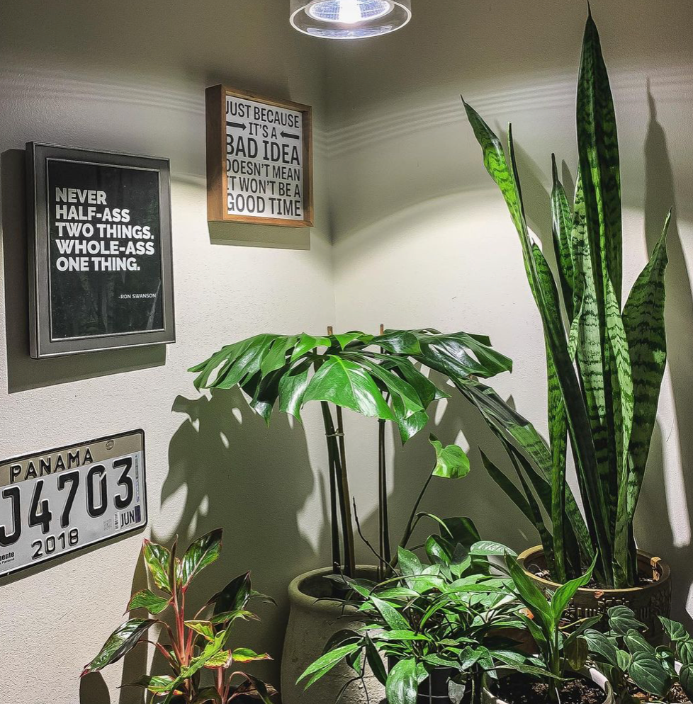 Botanic Grow Light - Architectural Grade