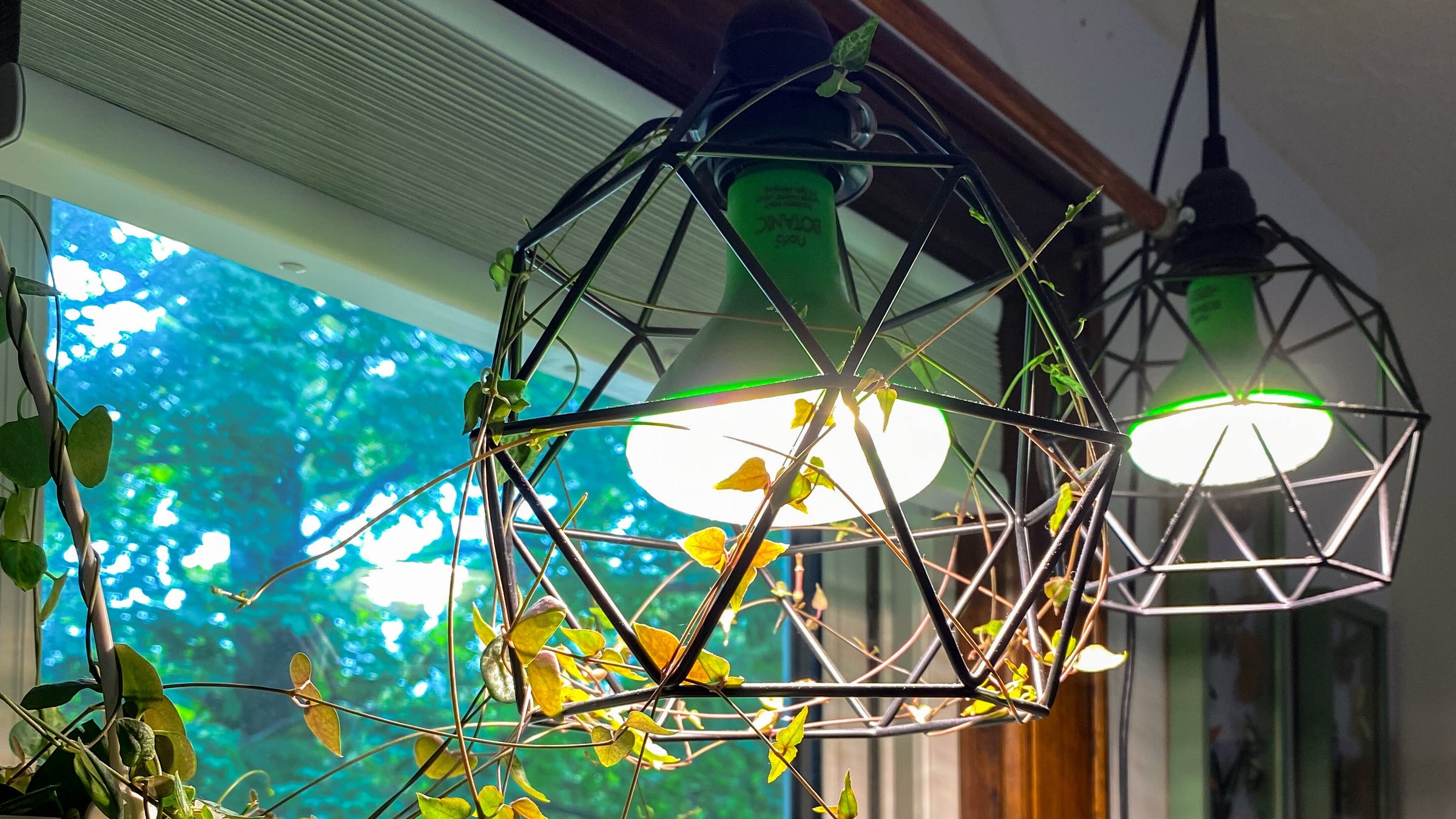 norb botanic indoor grow lights