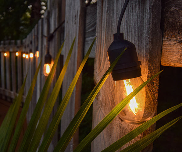 norb string lights