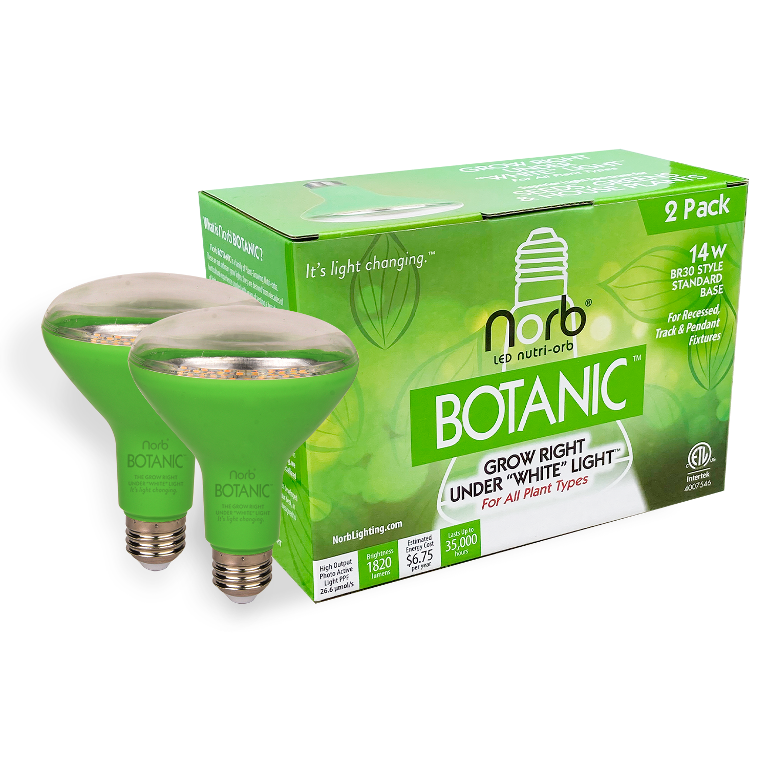 Botanic Grow Light - Medium Scale