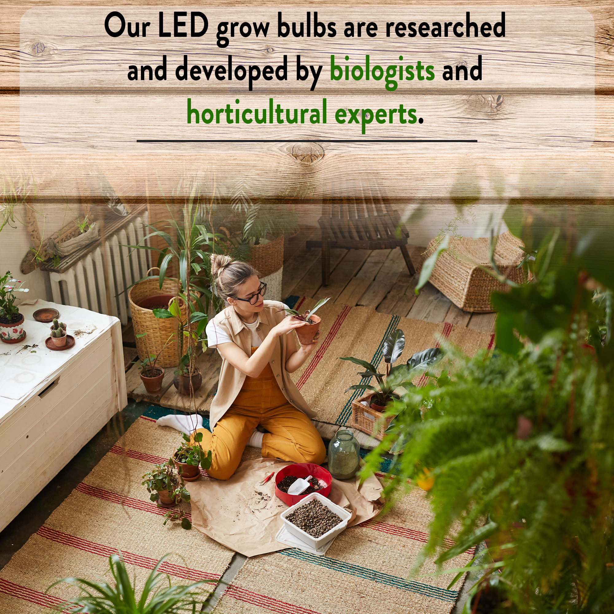 Botanic Grow Light - Small Scale