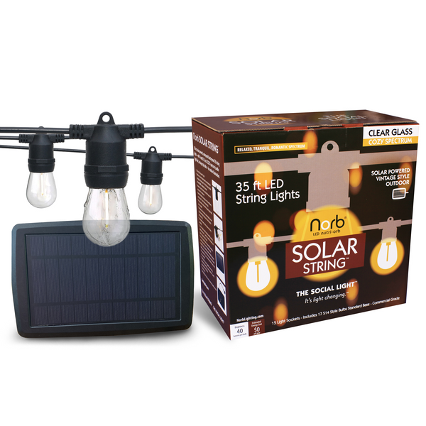 Solar String Lights - 35-Foot