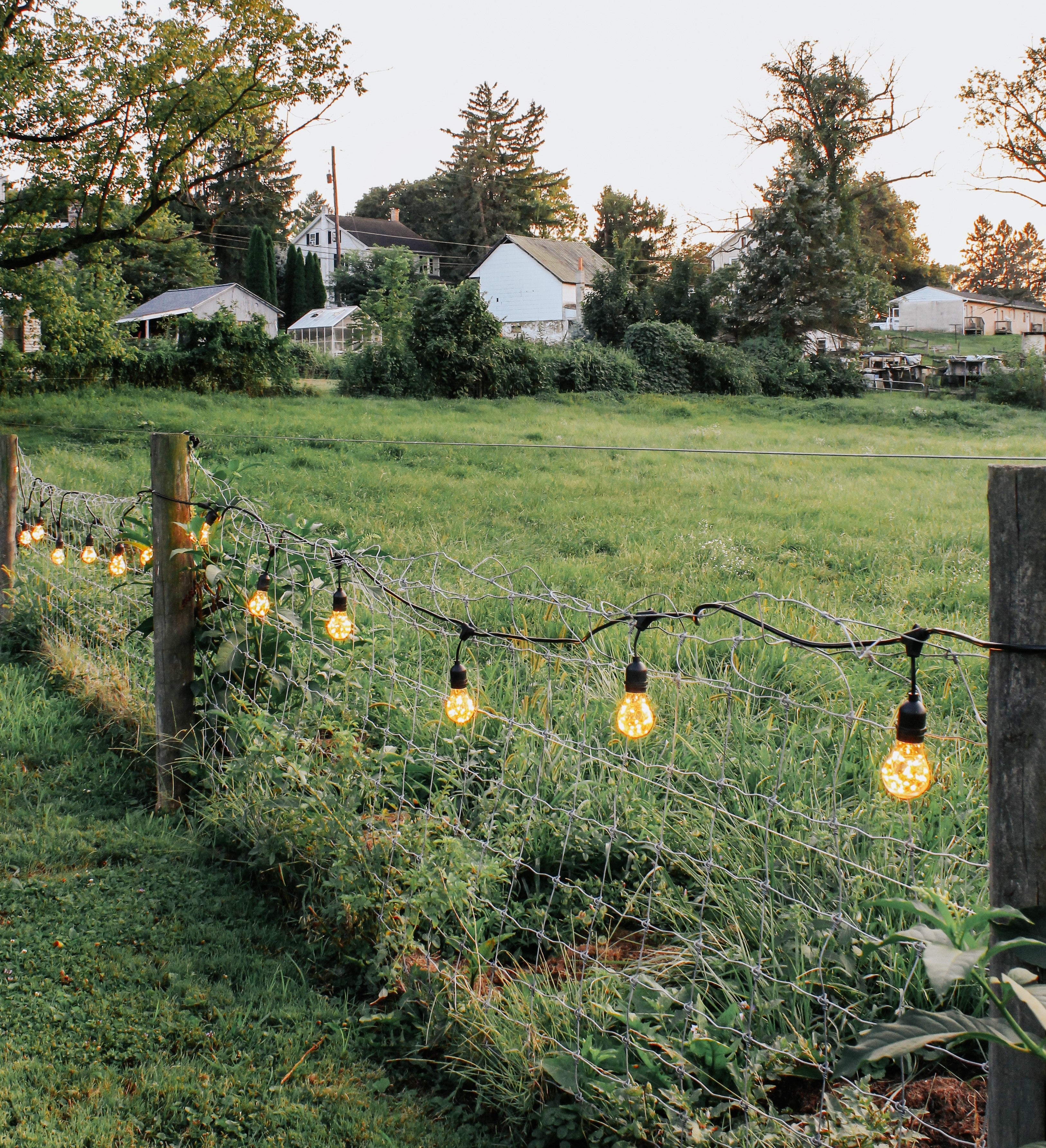 Star String Light - 42-Foot