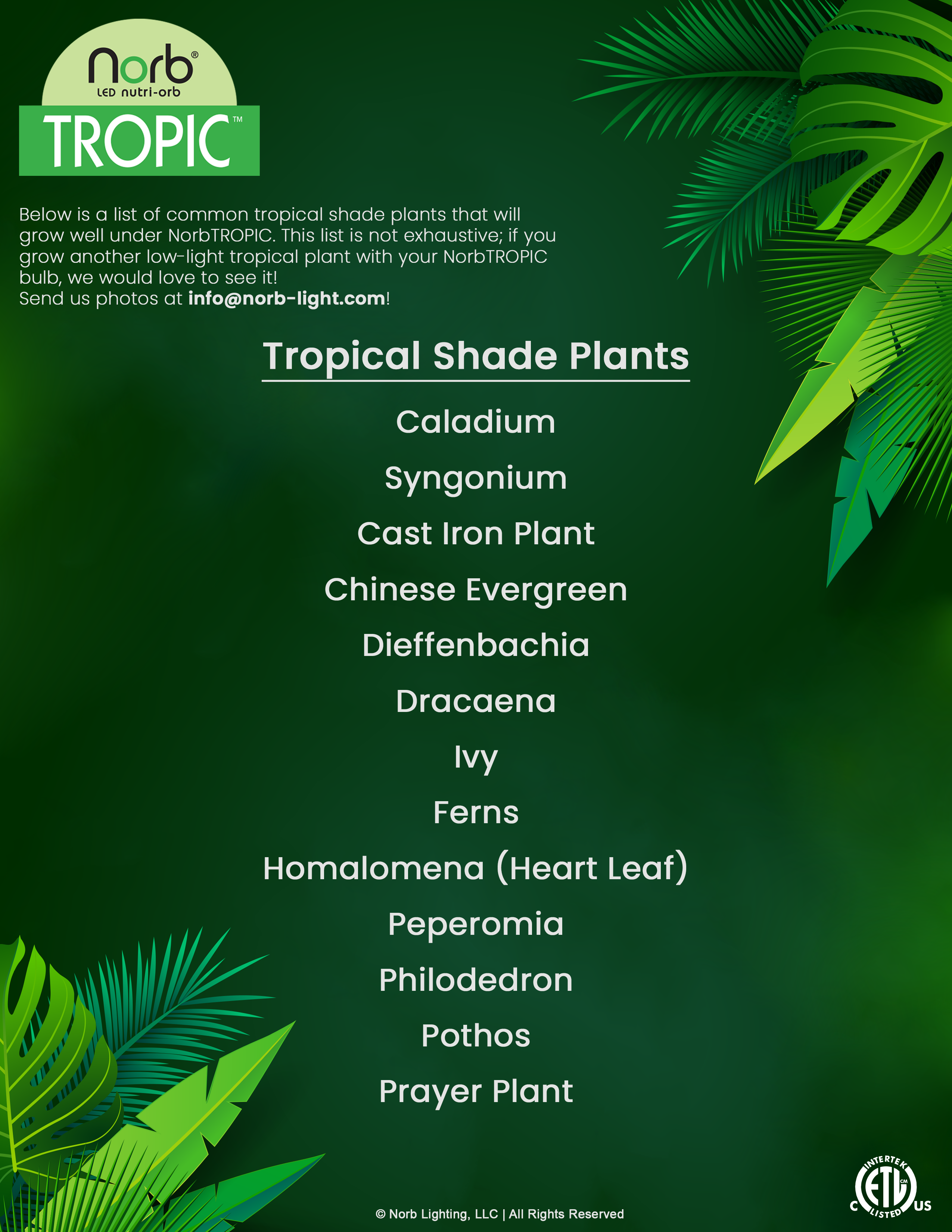 Tropical Soft Green Grow Light - Small Scale