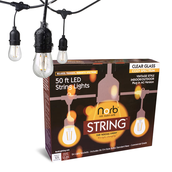 String Light - 50-Foot