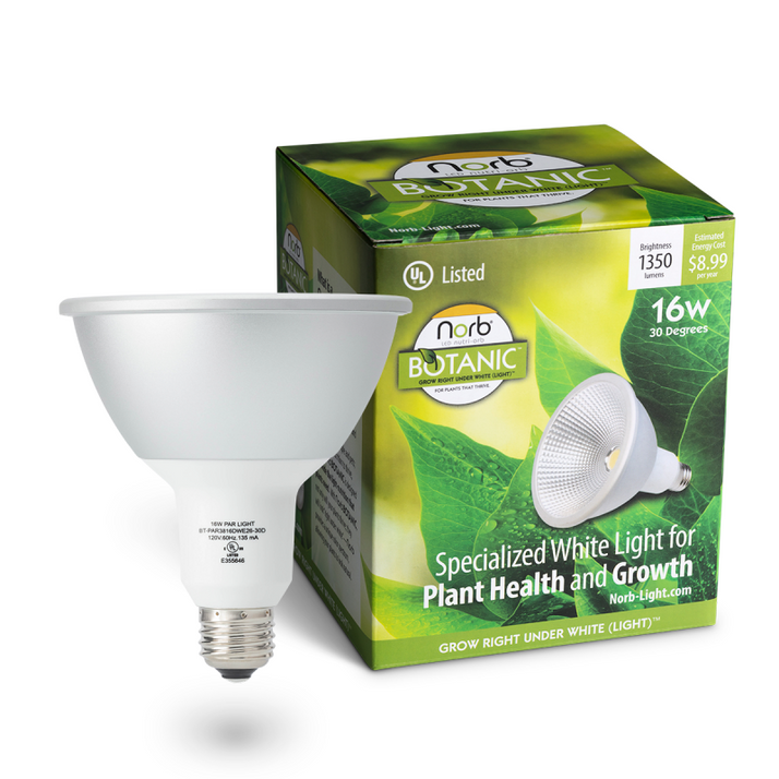 A NorbBOTANIC PAR38 LED bulb with specialized white light for plant health and growth, displayed next to its packaging box.
