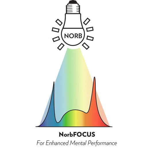 Focus - Sun-Spectrum Task Light