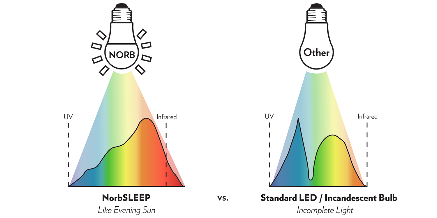 NorbSLEEP A19 Low Blue Sleep Light Bulb (9W)